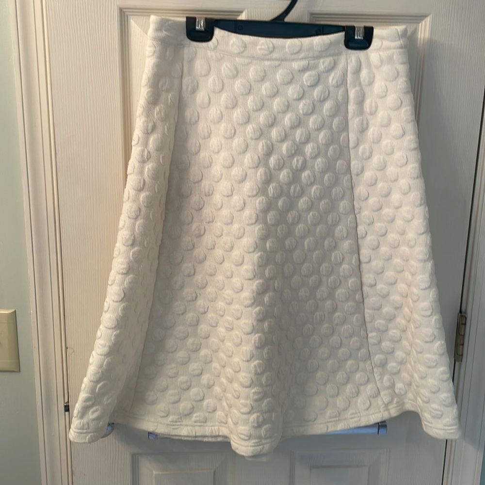 HD in Paris (Anthropologie brand) skirt